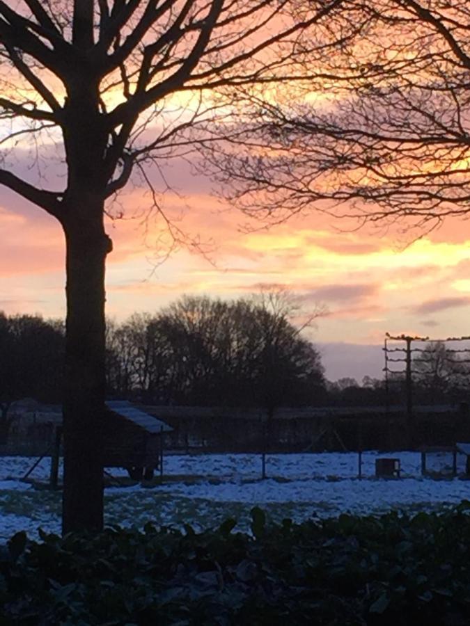 B&B Van Beijden Overasselt エクステリア 写真