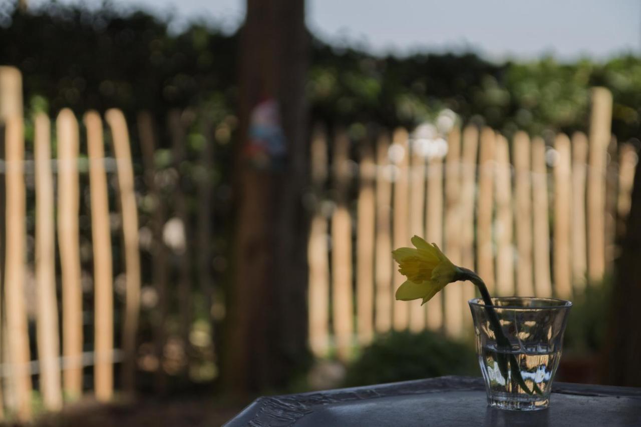 B&B Van Beijden Overasselt エクステリア 写真