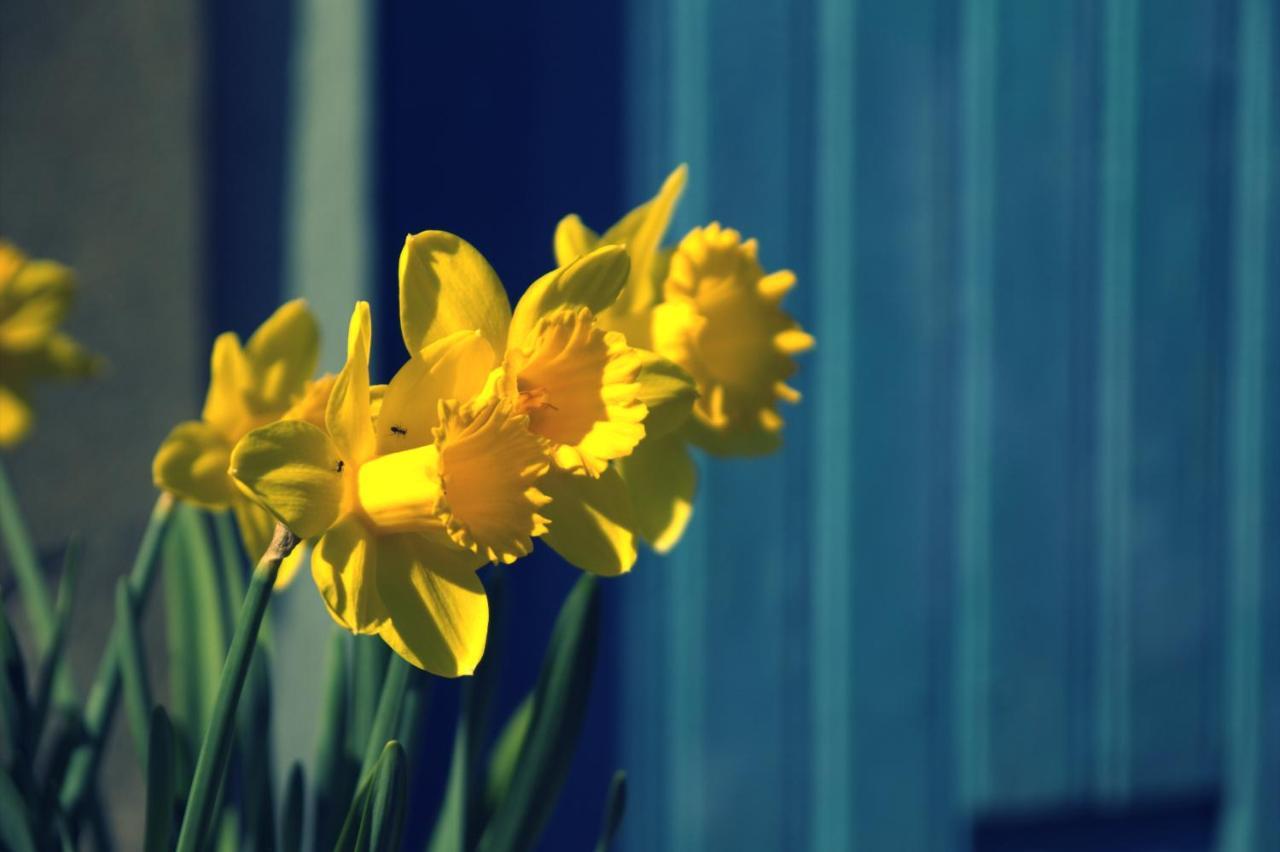 B&B Van Beijden Overasselt エクステリア 写真