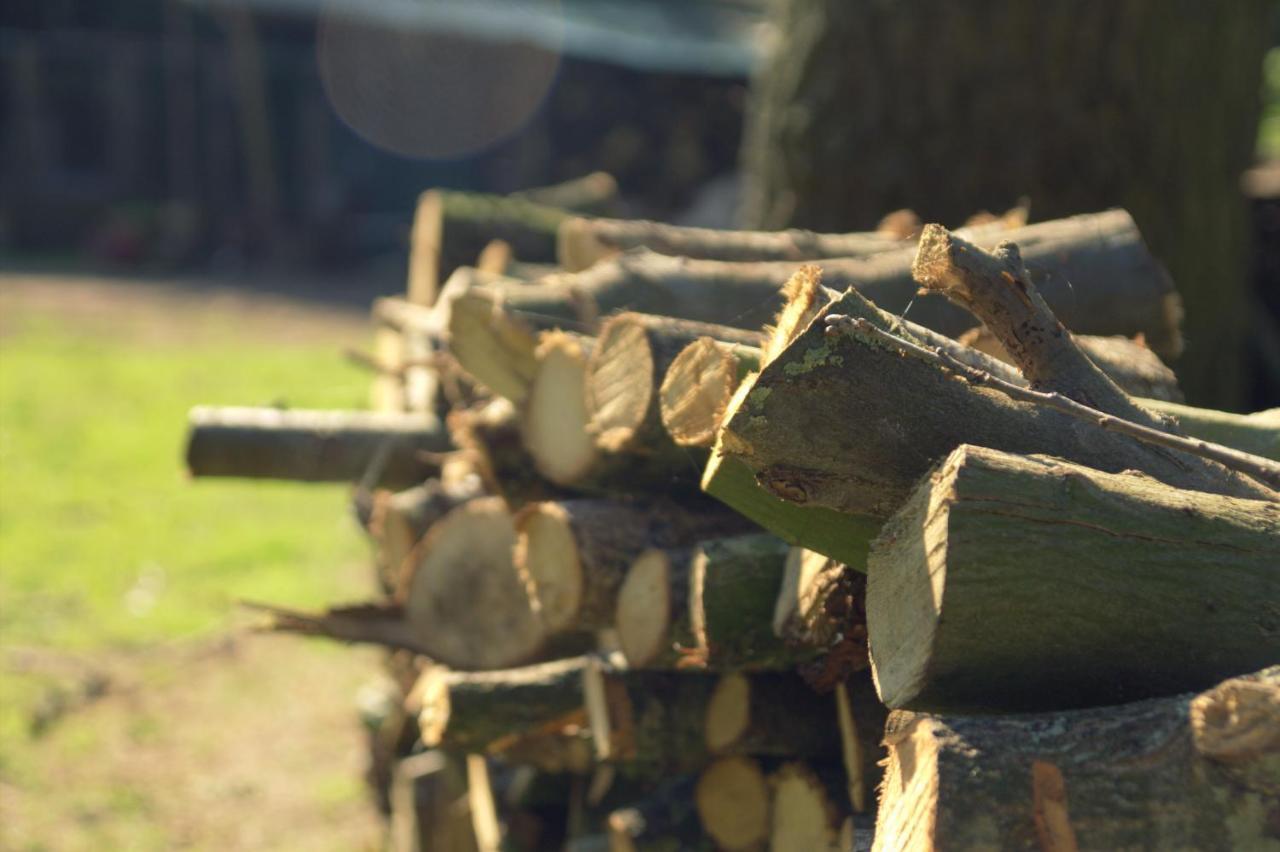 B&B Van Beijden Overasselt エクステリア 写真