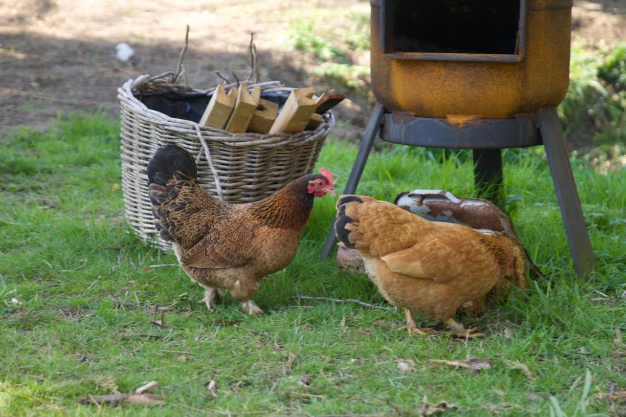 B&B Van Beijden Overasselt エクステリア 写真