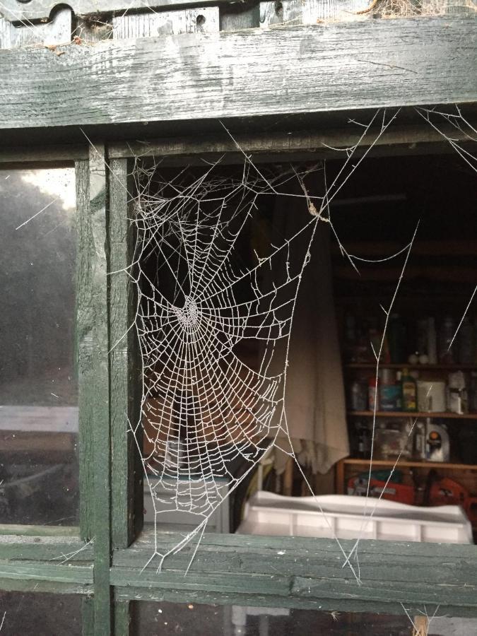 B&B Van Beijden Overasselt エクステリア 写真
