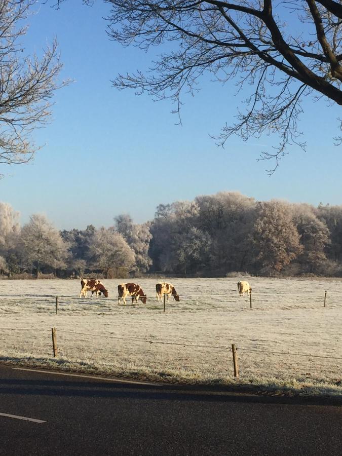 B&B Van Beijden Overasselt エクステリア 写真