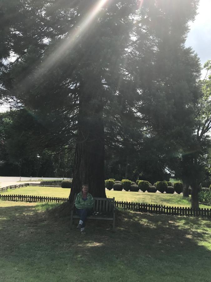 B&B Van Beijden Overasselt エクステリア 写真